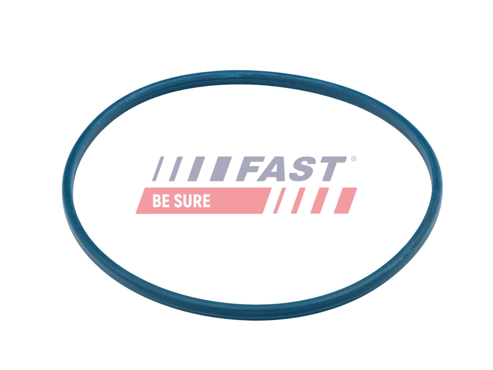 FAST Tesnenie, uzáver nádrže FT48504 1