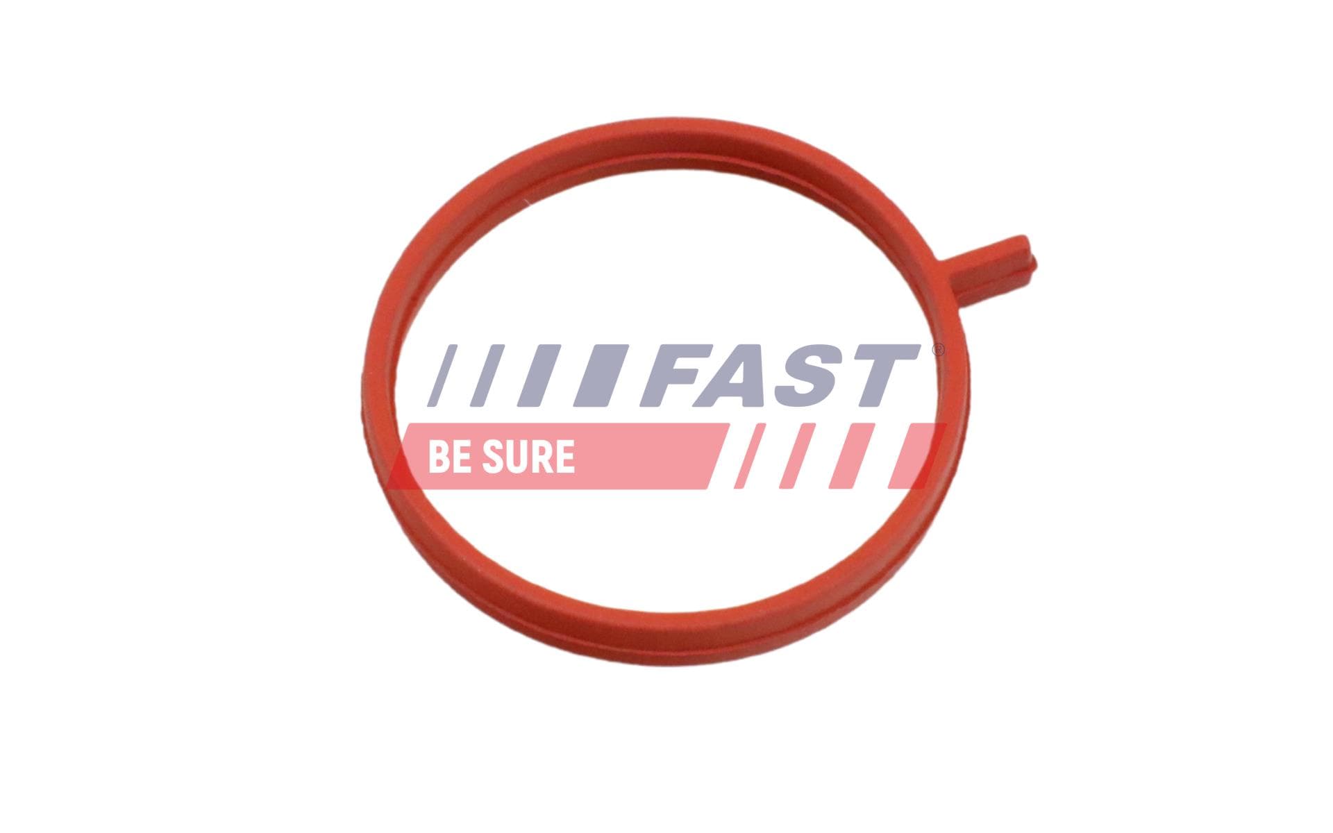 FAST Tesniaci krúžok hadice plniaceho vzduchu FT48963 1
