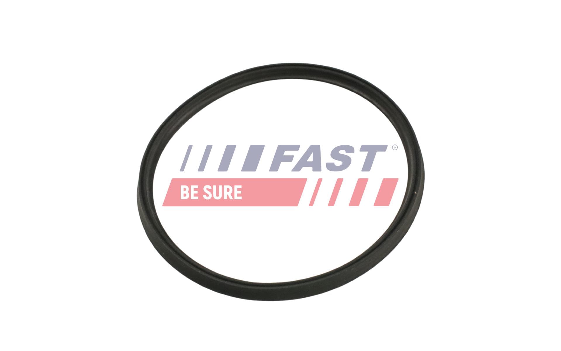 FAST Tesniaci krúžok hadice plniaceho vzduchu FT48965 1