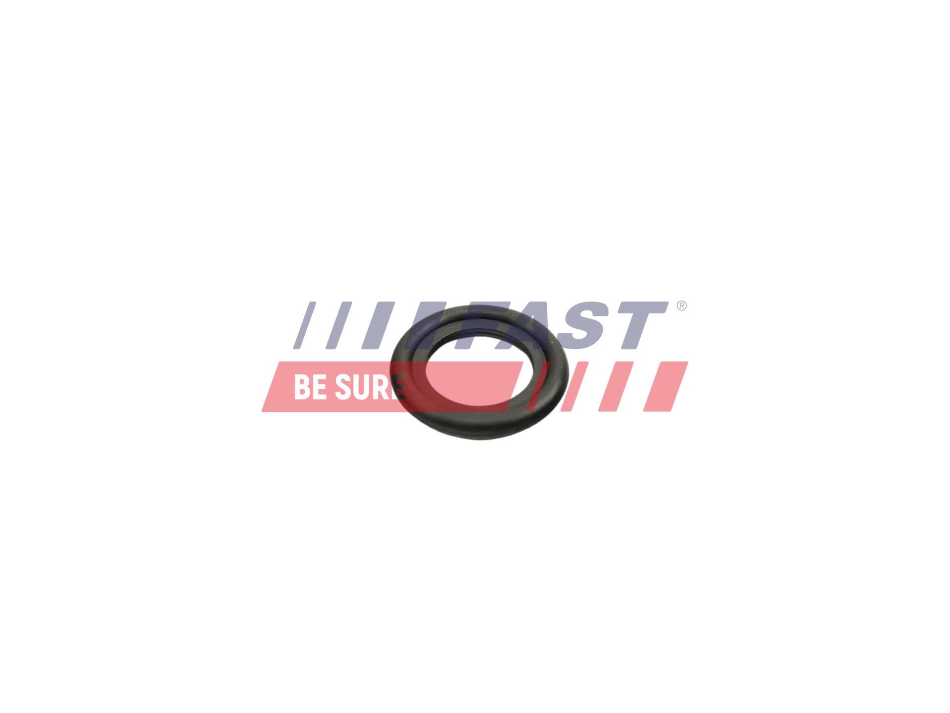 FAST Tesniaci krúžok, vypúšťacia skrutka oleja FT49860 1