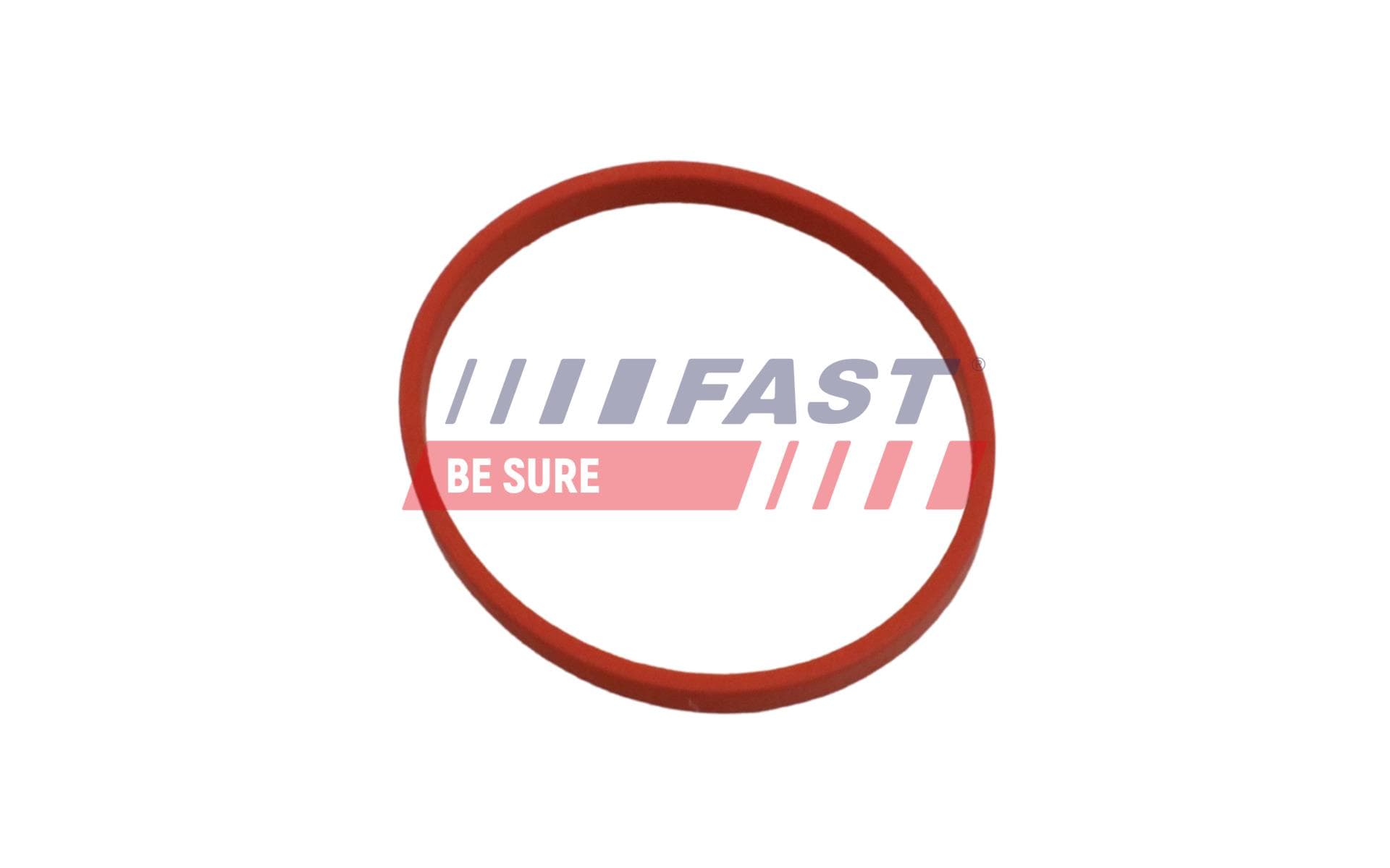 FAST Tesnenie, Vedenie AGR-ventilu FT49868 1