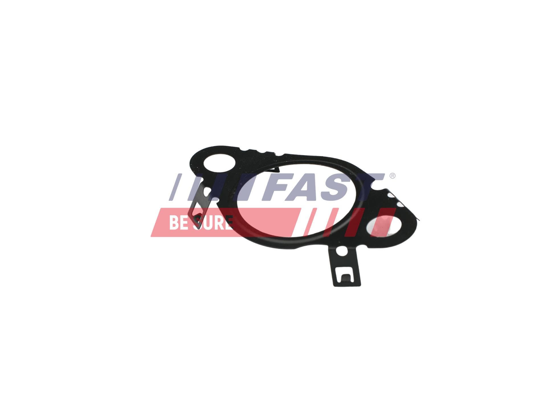FAST Tesnenie, AGR-Ventil FT50604 1
