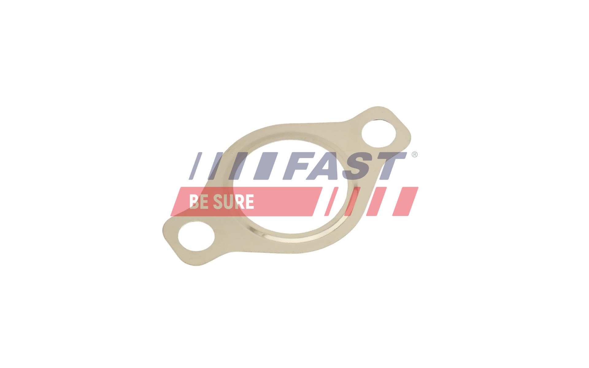 FAST Tesnenie, AGR-Ventil FT50618 1