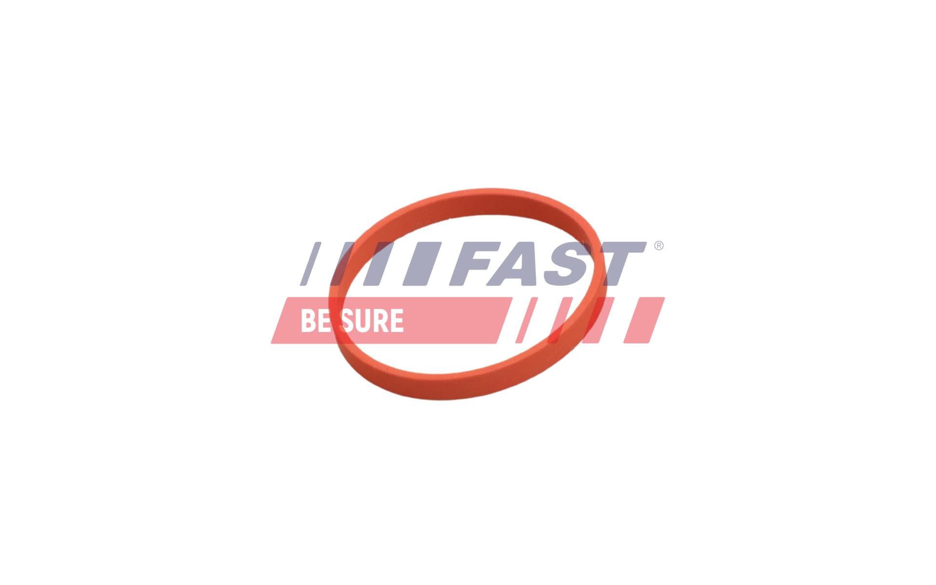 FAST Tesnenie, AGR-Ventil FT50628 1