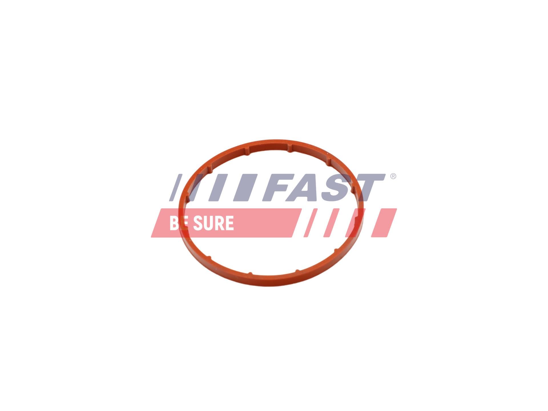 FAST Tesnenie vákuového čerpadla FT50701 1