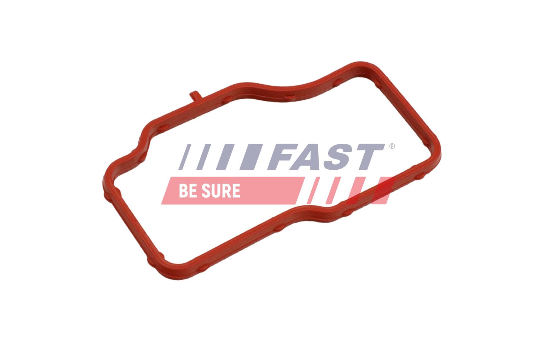 FAST Tesnenie obalu termostatu FT58307 1