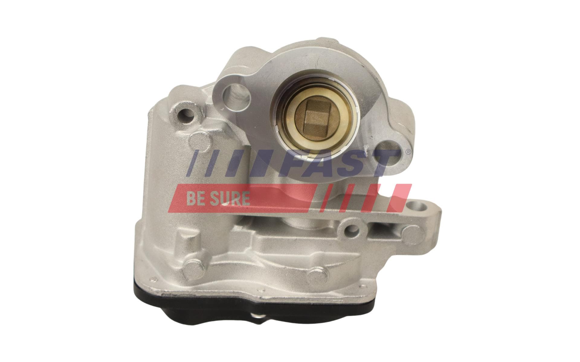 FAST AGR - Ventil FT60244 1