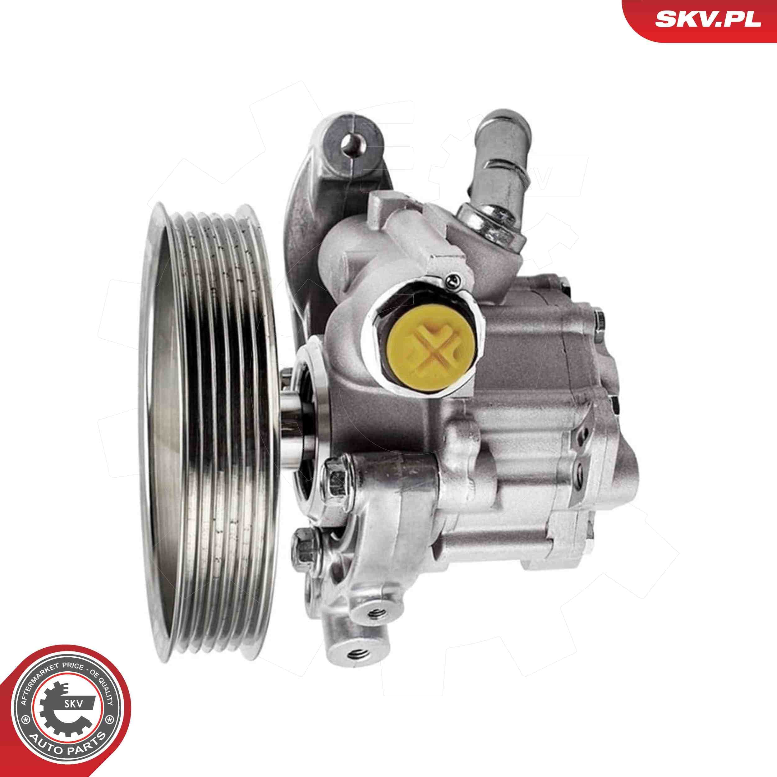 SKV Hydraulické čerpadlo pre riadenie 10SKV317 1