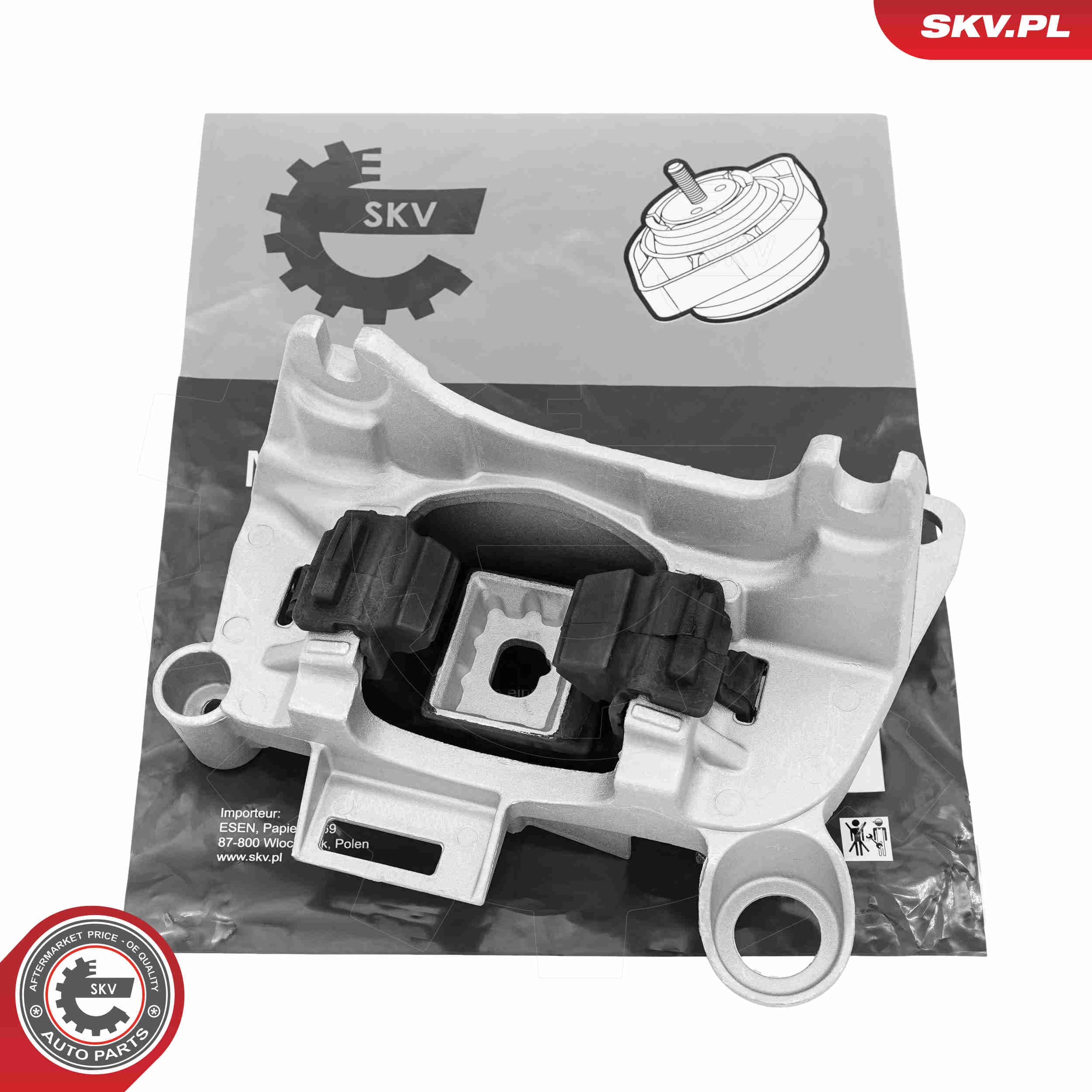 SKV Uloženie motora 75SKV169 1