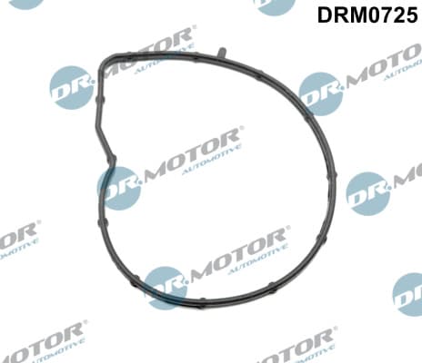 DR.MOTOR AUTOMOTIVE Tesnenie vodného čerpadla DRM0725 1