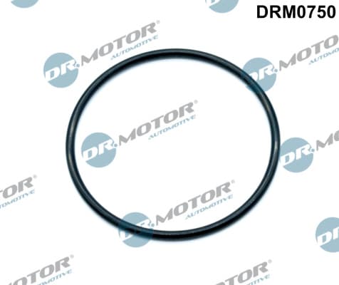 DR.MOTOR AUTOMOTIVE Tesnenie, hrdlo škrtiacej klapky DRM0750 1