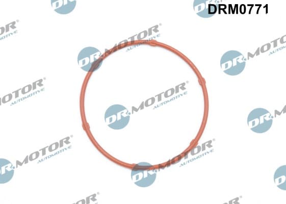 DR.MOTOR AUTOMOTIVE Tesnenie, olejové čerpadlo DRM0771 1