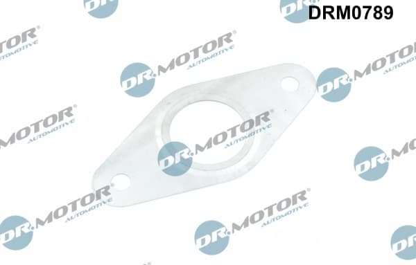 DR.MOTOR AUTOMOTIVE Tesnenie, Vedenie AGR-ventilu DRM0789 1