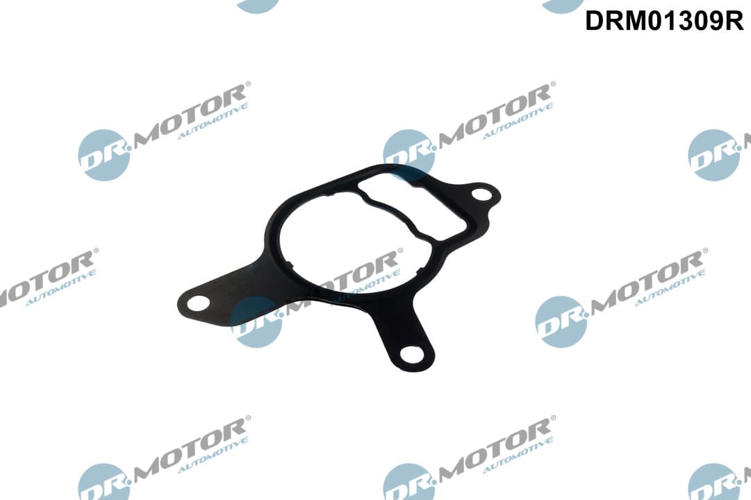 DR.MOTOR AUTOMOTIVE Tesnenie vákuového čerpadla DRM01309R 1