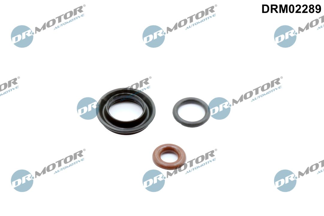 DR.MOTOR AUTOMOTIVE Sada tesnení pre vstrekovaciu trysku DRM02289 1