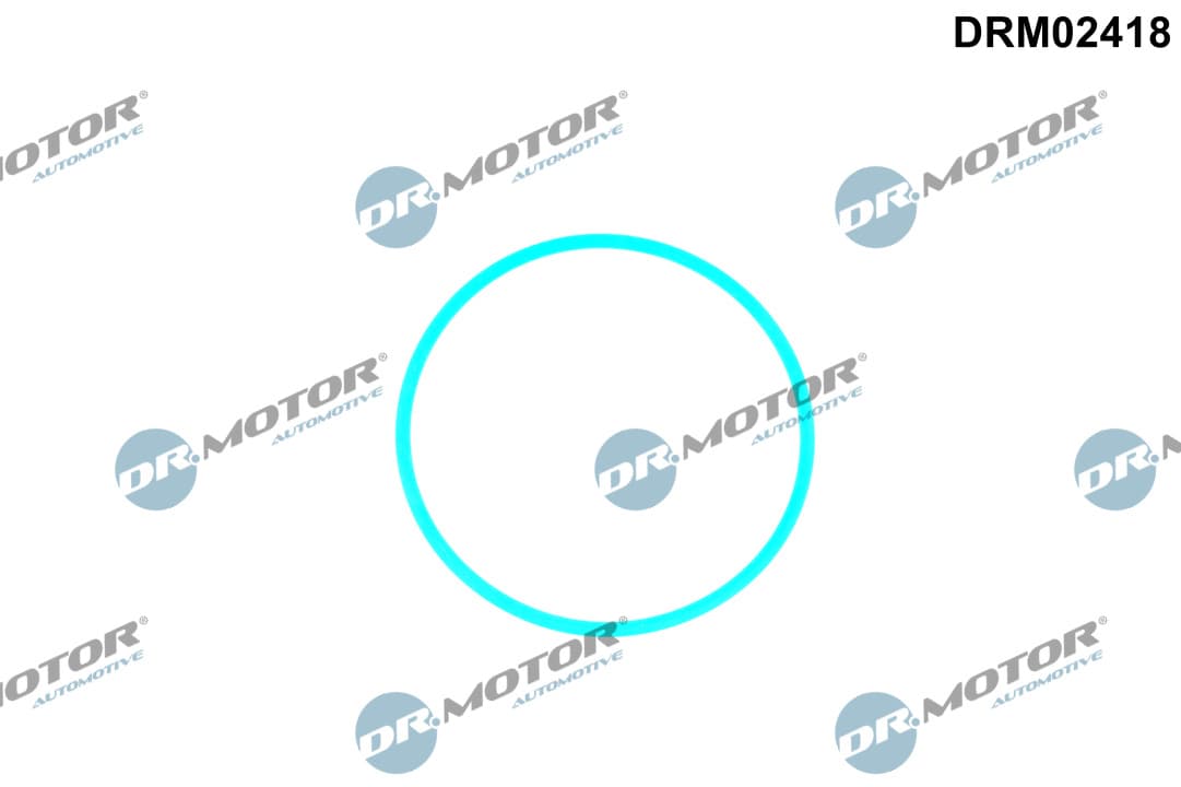 DR.MOTOR AUTOMOTIVE Tesnenie, Palivové čerpadlo DRM02418 1