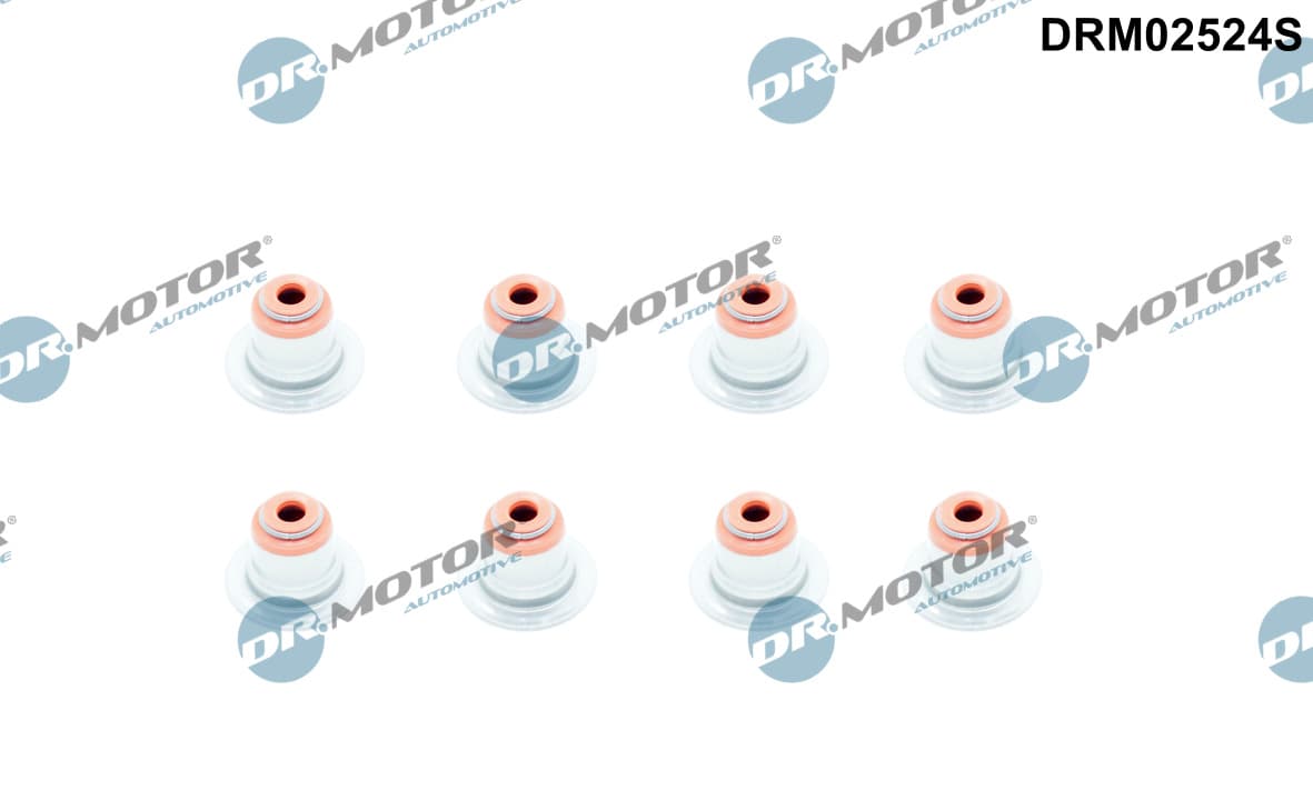 DR.MOTOR AUTOMOTIVE Sada tesnení drieku ventilu DRM02524S 1