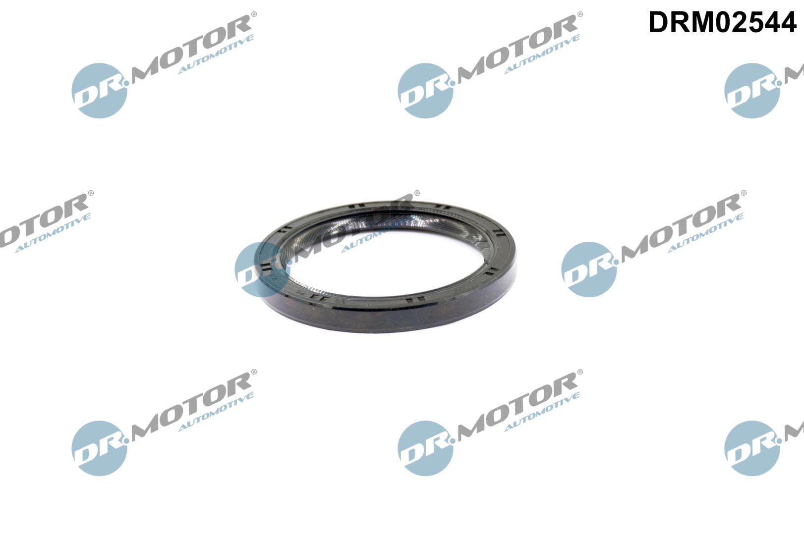 DR.MOTOR AUTOMOTIVE Tesniaci krúžok vačkového hriadeľa DRM02544 1