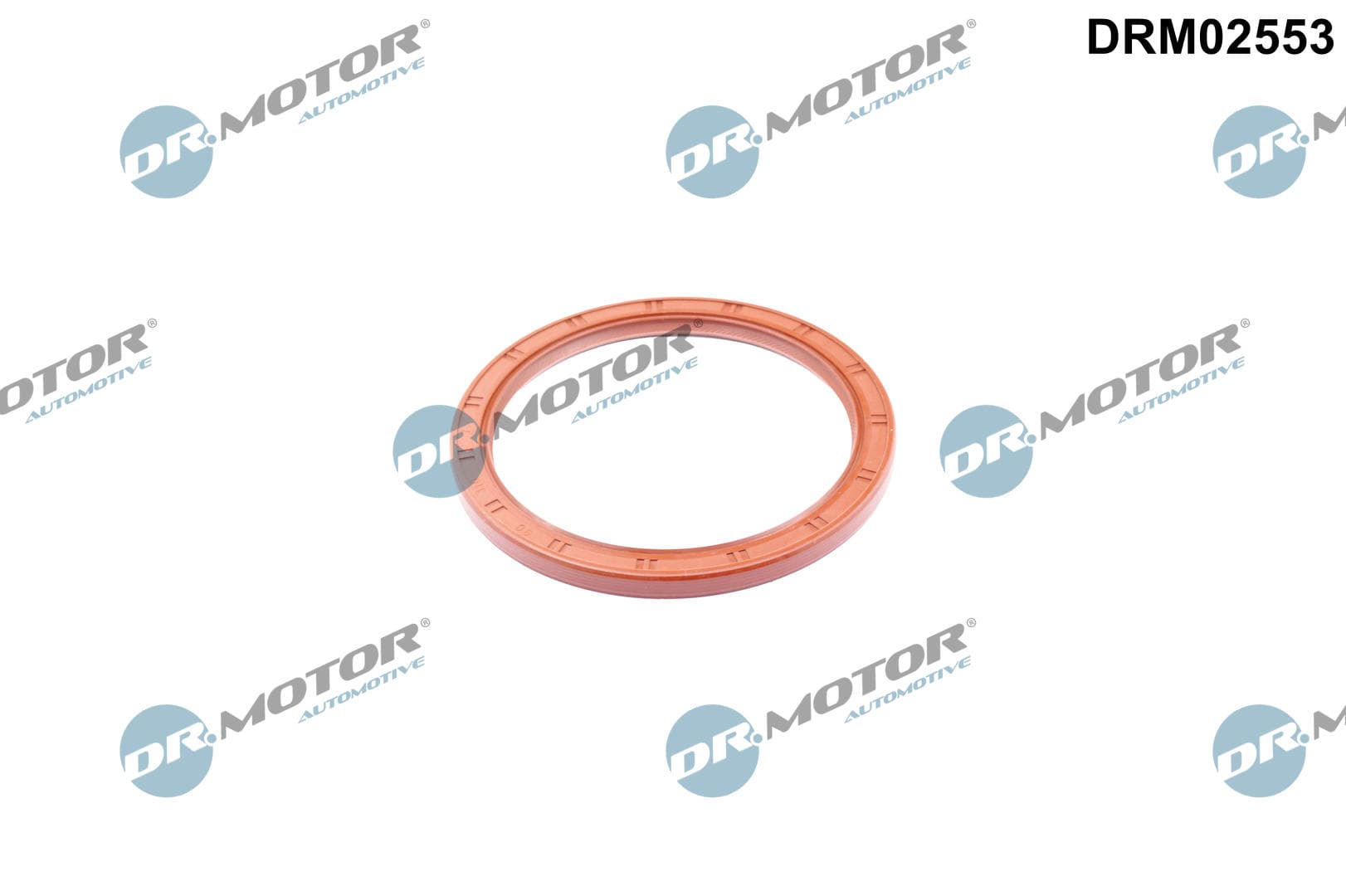 DR.MOTOR AUTOMOTIVE Tesniaci krúžok kľukového hriadeľa DRM02553 1
