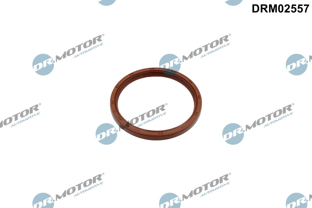 DR.MOTOR AUTOMOTIVE Tesniaci krúžok vačkového hriadeľa DRM02557 1