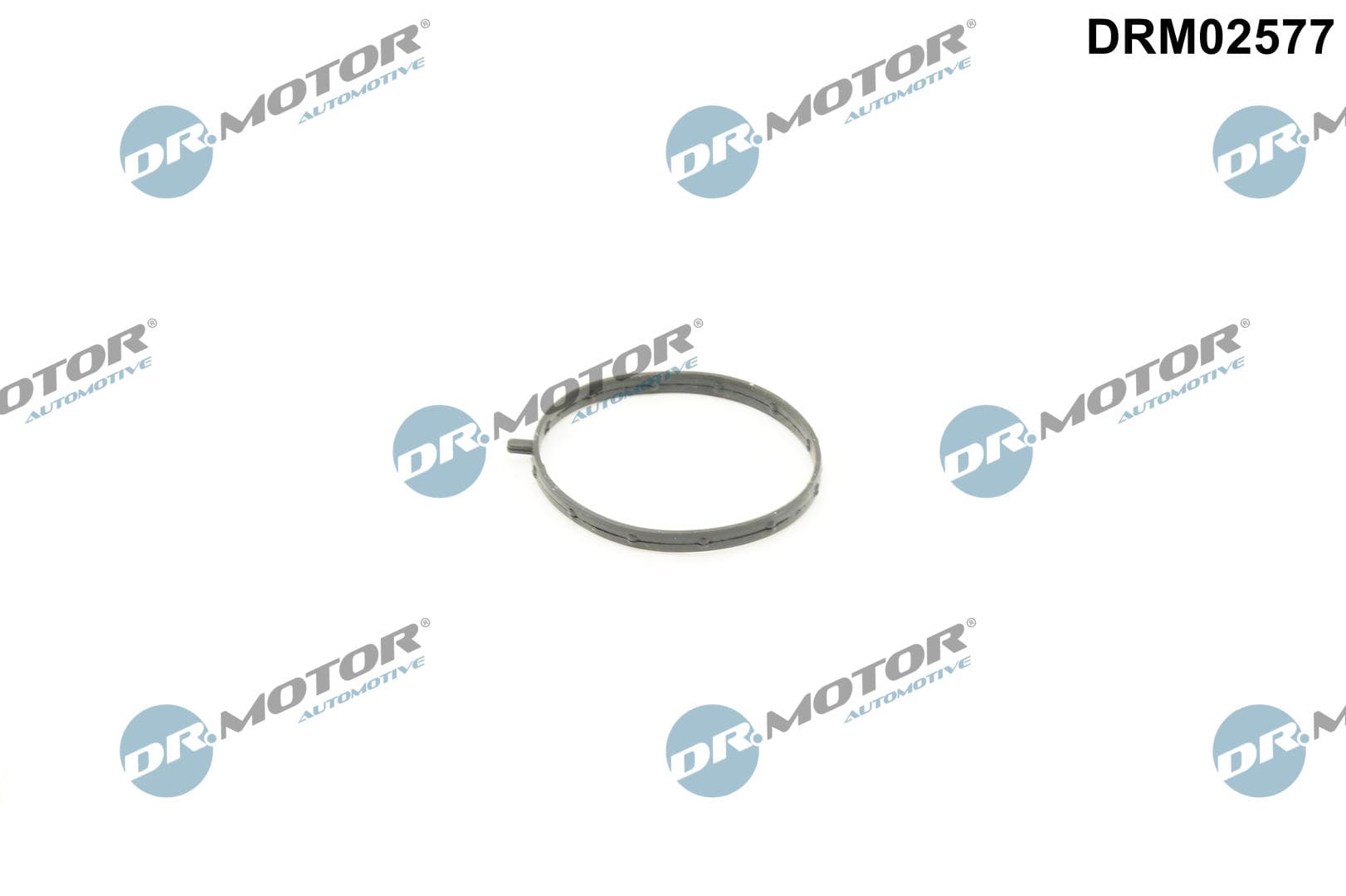 DR.MOTOR AUTOMOTIVE Tesnenie, hrdlo škrtiacej klapky DRM02577 1