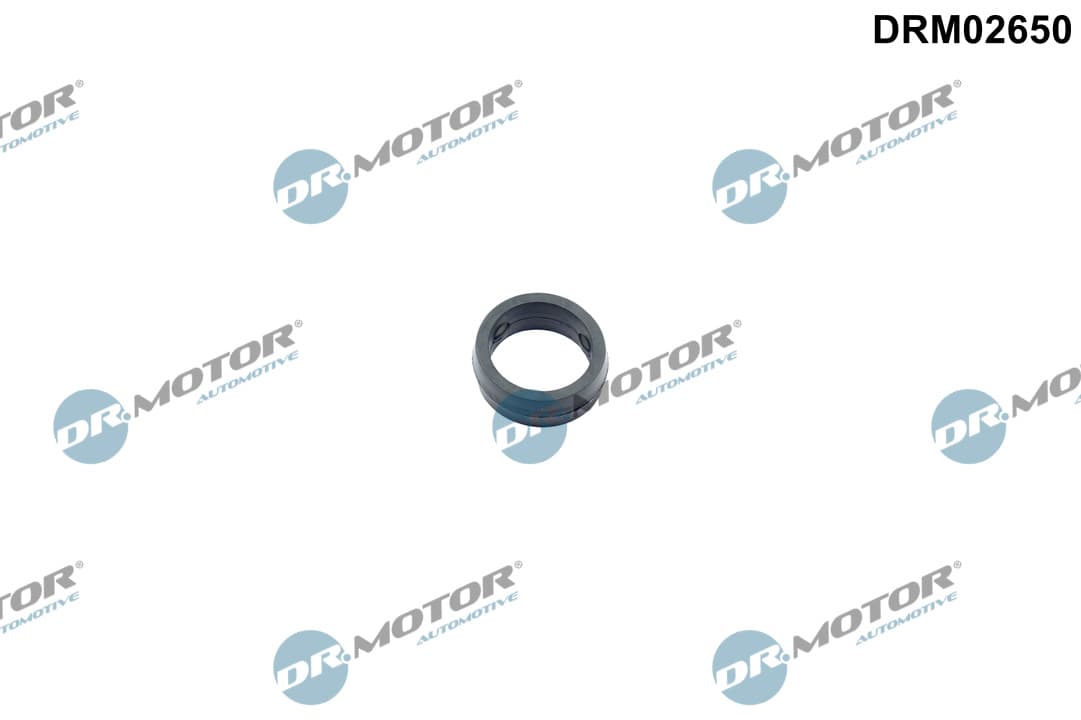 DR.MOTOR AUTOMOTIVE Tesnenie obalu olejového filtra DRM02650 1