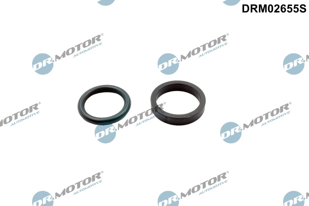 DR.MOTOR AUTOMOTIVE Tesnenie, nastavenie vačkového hriadeľa DRM02655S 1