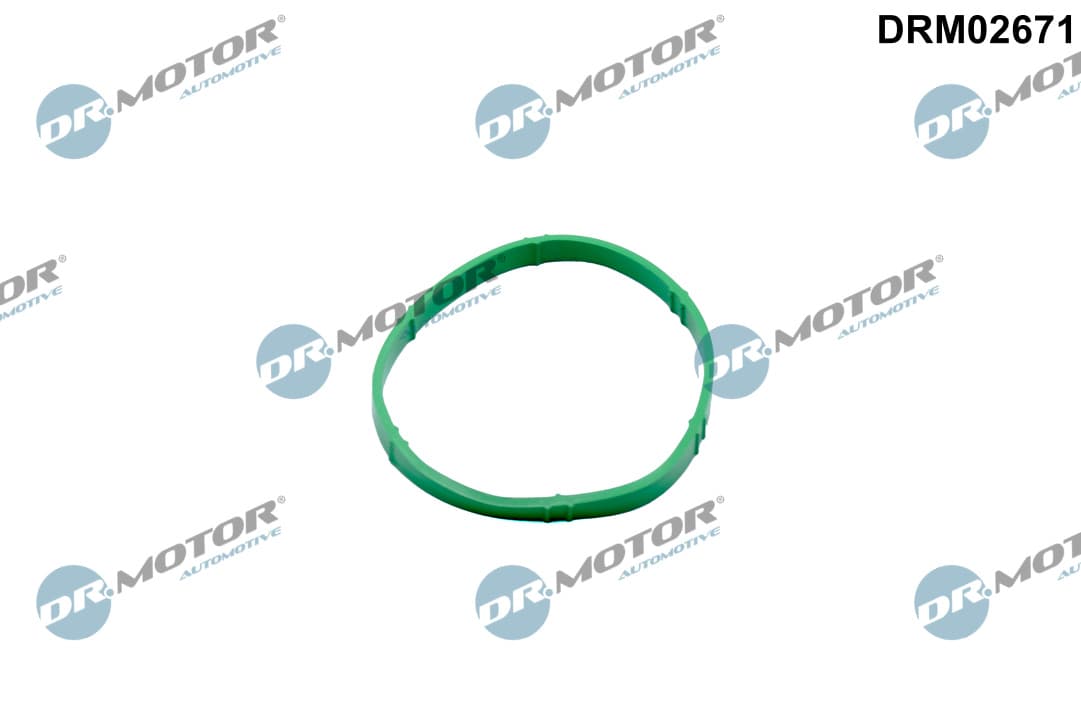 DR.MOTOR AUTOMOTIVE Tesnenie, hrdlo škrtiacej klapky DRM02671 1