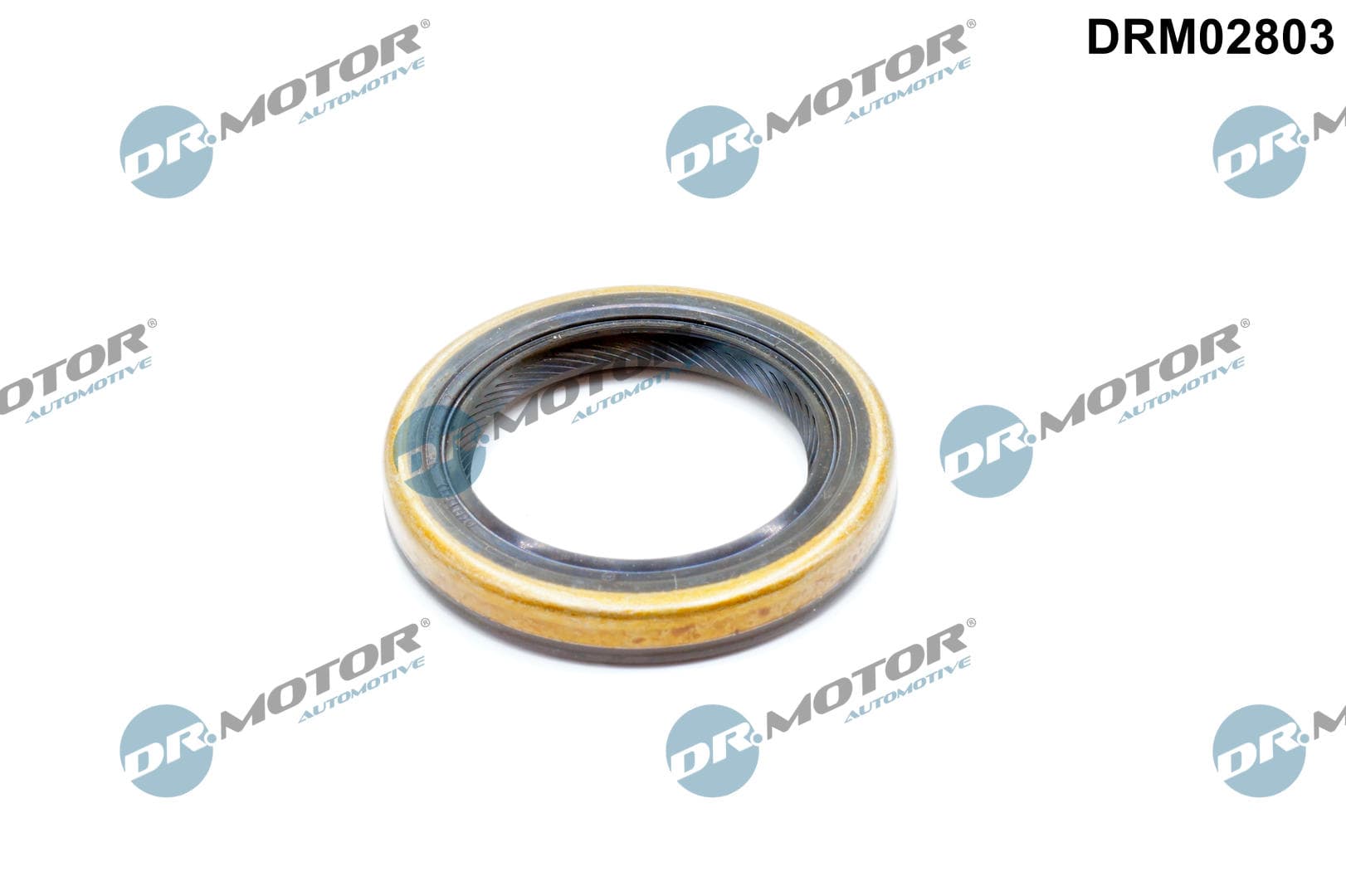 DR.MOTOR AUTOMOTIVE Tesniaci krúžok hriadeľa diferenciálu DRM02803 1