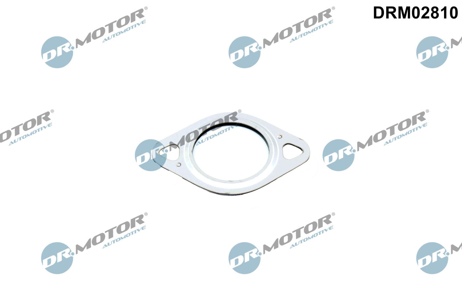 DR.MOTOR AUTOMOTIVE Tesnenie, Vedenie AGR-ventilu DRM02810 1