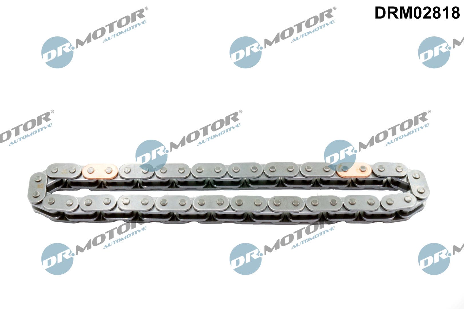 DR.MOTOR AUTOMOTIVE Rozvodová reťaz DRM02818 1