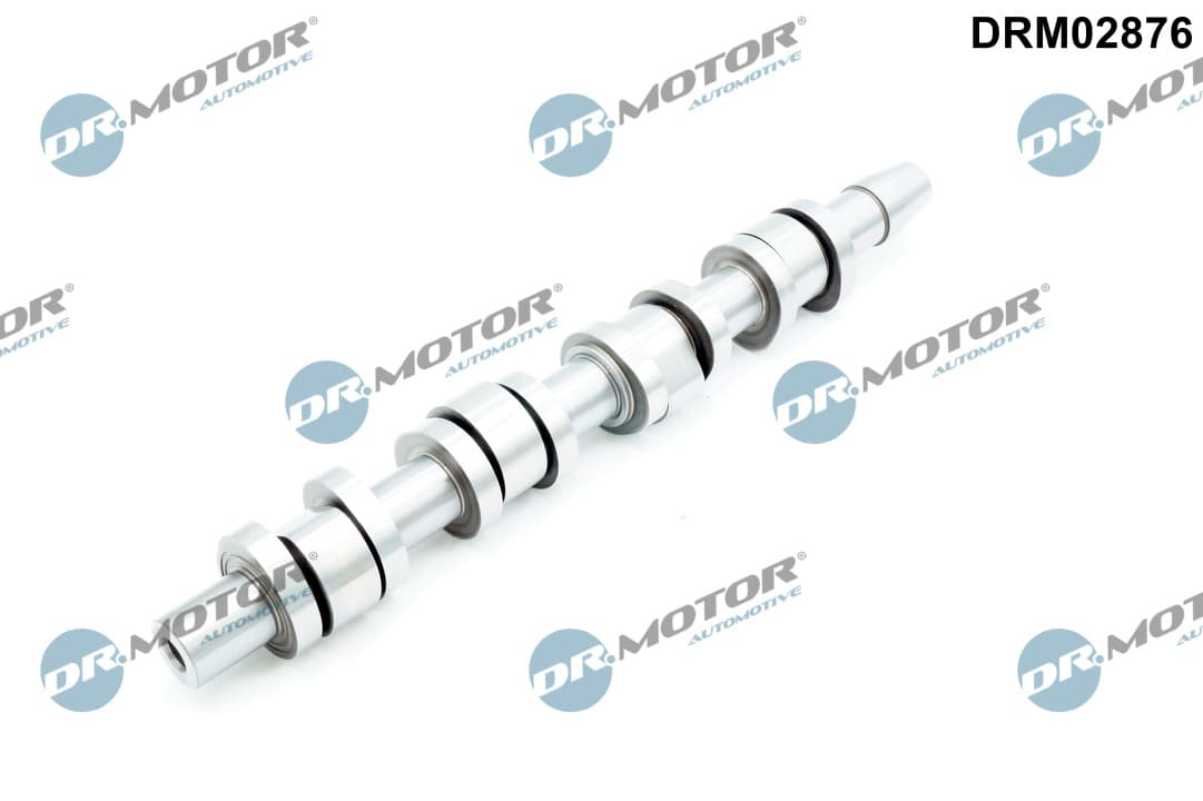 DR.MOTOR AUTOMOTIVE Vačkový hriadeľ DRM02876 1