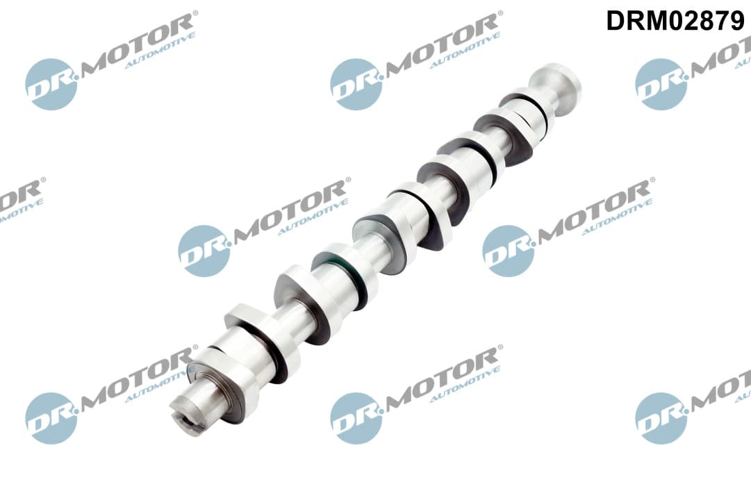 DR.MOTOR AUTOMOTIVE Vačkový hriadeľ DRM02879 1