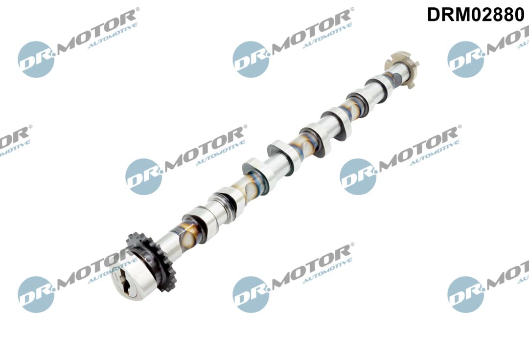 DR.MOTOR AUTOMOTIVE Vačkový hriadeľ DRM02880 1