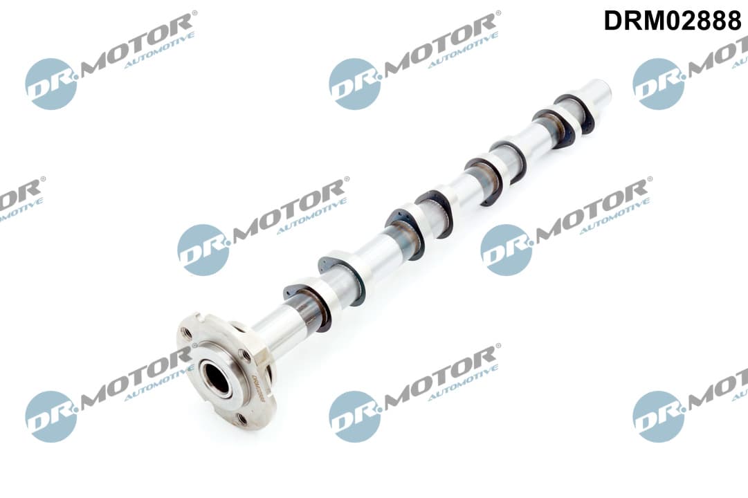 DR.MOTOR AUTOMOTIVE Vačkový hriadeľ DRM02888 1