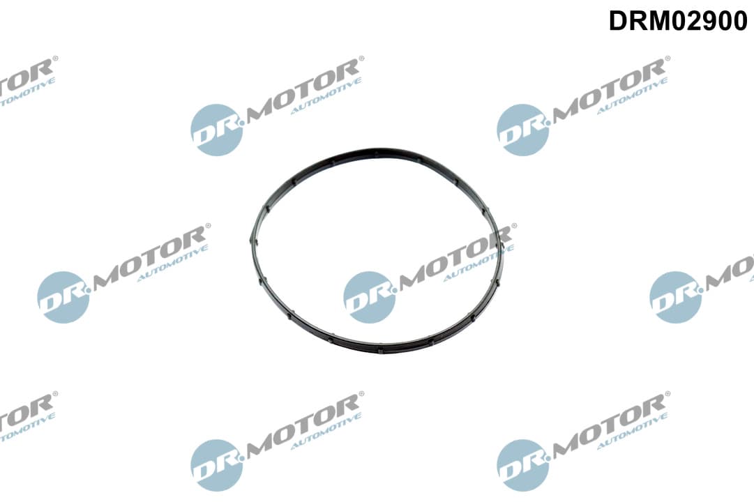 DR.MOTOR AUTOMOTIVE Tesnenie vákuového čerpadla DRM02900 1