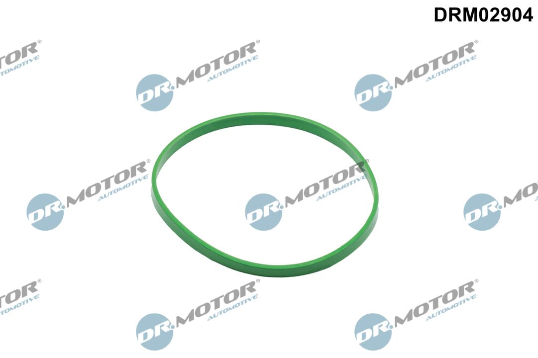 DR.MOTOR AUTOMOTIVE Tesnenie, hrdlo škrtiacej klapky DRM02904 1