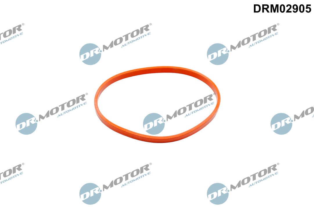 DR.MOTOR AUTOMOTIVE Tesnenie, hrdlo škrtiacej klapky DRM02905 1