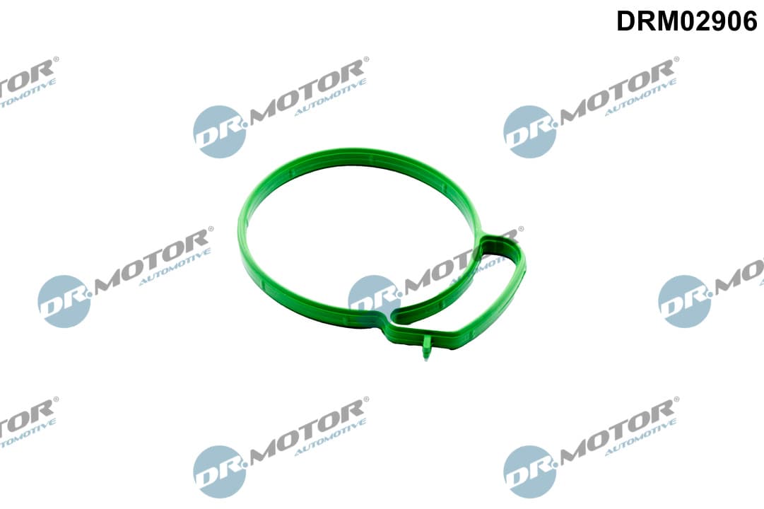 DR.MOTOR AUTOMOTIVE Tesnenie, hrdlo škrtiacej klapky DRM02906 1
