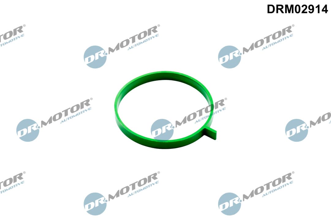 DR.MOTOR AUTOMOTIVE Tesnenie, hrdlo škrtiacej klapky DRM02914 1