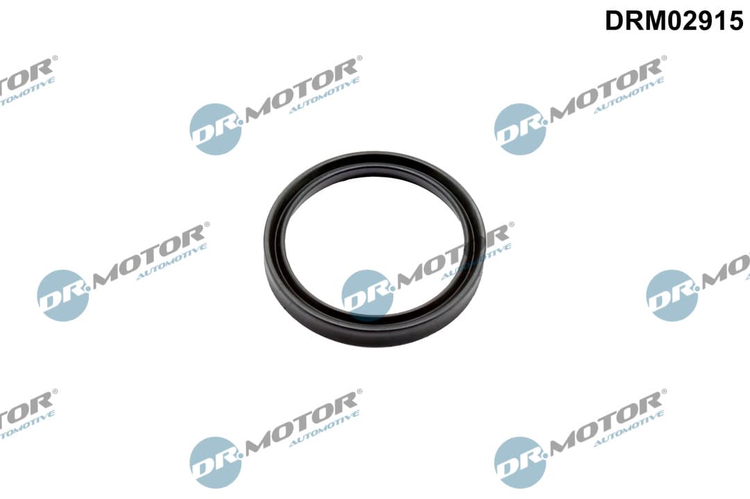 DR.MOTOR AUTOMOTIVE Tesniaci krúžok turbodúchadla DRM02915 1