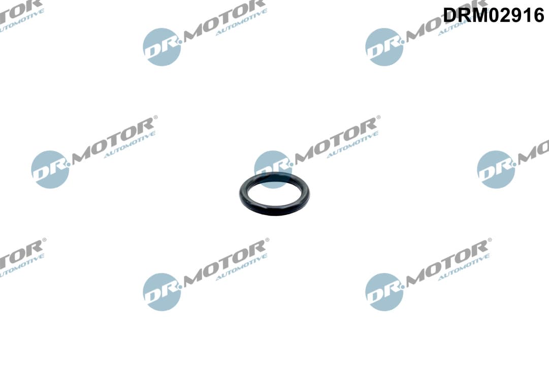 DR.MOTOR AUTOMOTIVE Tesnenie výpustnej skrutky oleja DRM02916 1