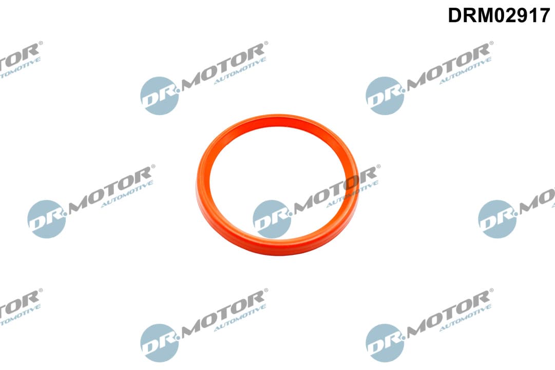 DR.MOTOR AUTOMOTIVE Tesniaci krúžok turbodúchadla DRM02917 1