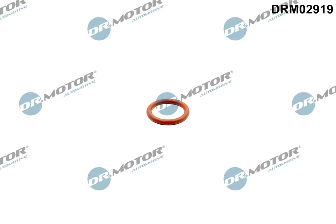 DR.MOTOR AUTOMOTIVE Tesnenie výpustnej skrutky oleja DRM02919 1