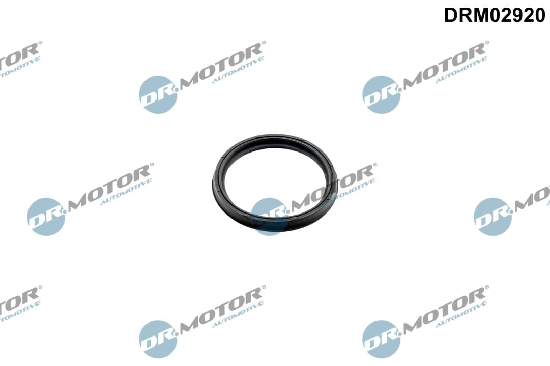 DR.MOTOR AUTOMOTIVE Tesniaci krúžok hadice plniaceho vzduchu DRM02920 1