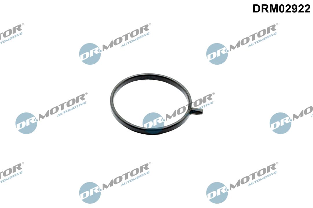 DR.MOTOR AUTOMOTIVE Tesniaci krúžok turbodúchadla DRM02922 1