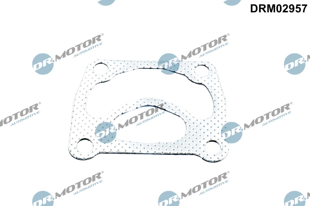 DR.MOTOR AUTOMOTIVE Tesnenie turbodúchadla DRM02957 1