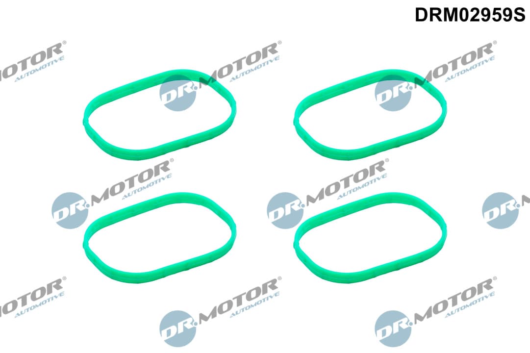DR.MOTOR AUTOMOTIVE Sada tesnení kolena nasávacieho potrubia DRM02959S 1