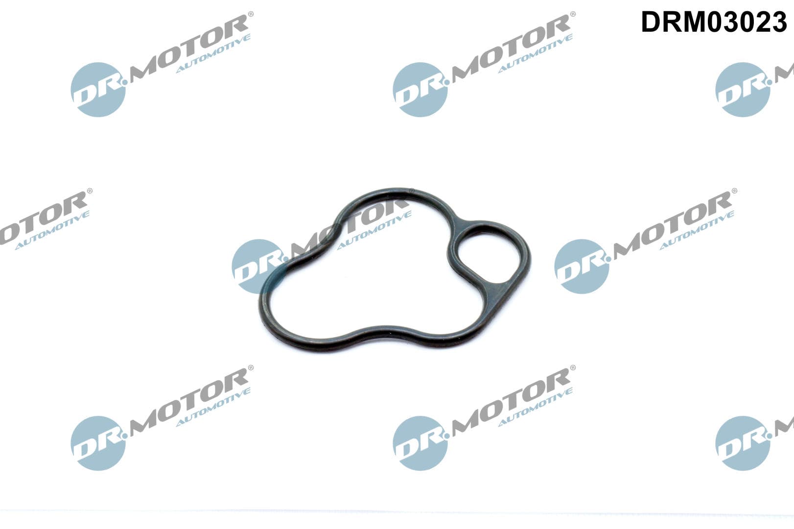 DR.MOTOR AUTOMOTIVE Tesnenie olejového filtra DRM03023 1