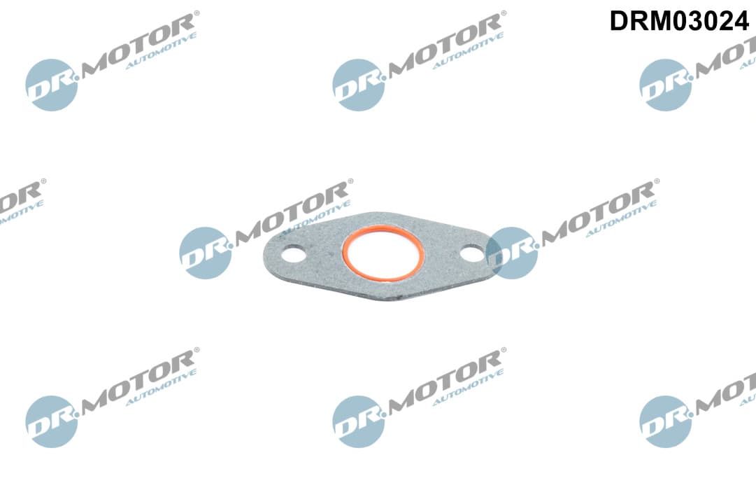 DR.MOTOR AUTOMOTIVE Tesnenie chladiča oleja DRM03024 1
